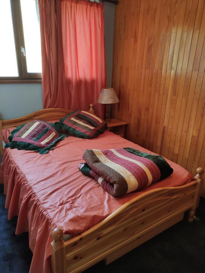 Appartement La Toussuire Avec Vue Exceptionnelle Fontcouverte-la-Toussuire Екстериор снимка